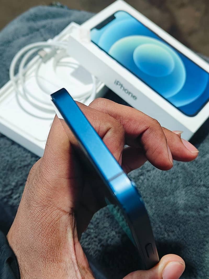 Apple iPhone 12 1