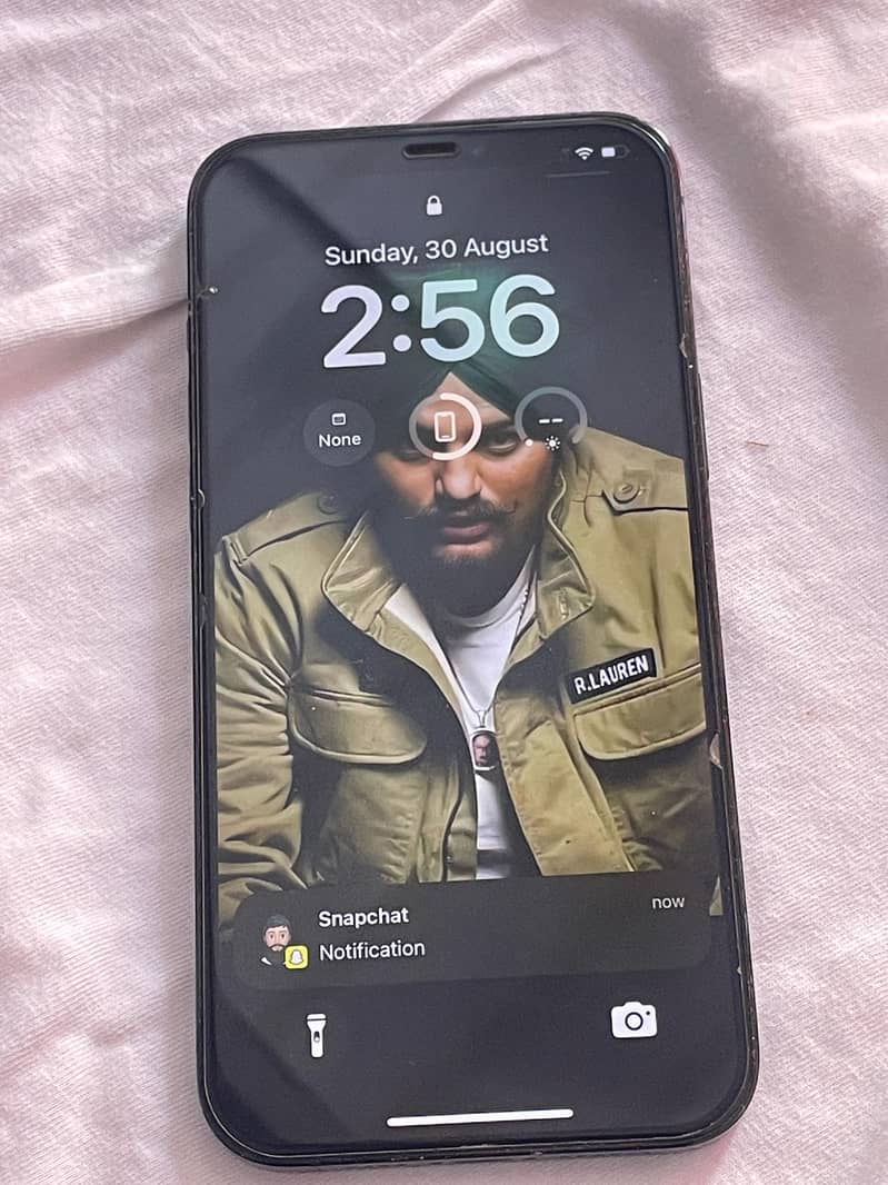 Apple iPhone 12 Pro Max 0