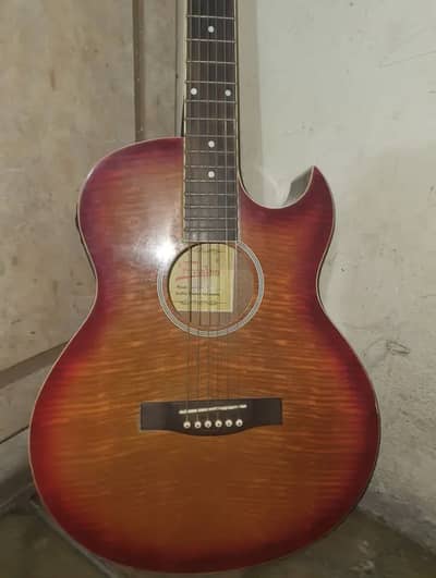 Semi-Acoustic Guitar