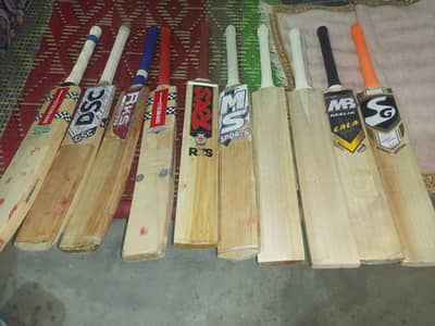 hard ball cricket bats