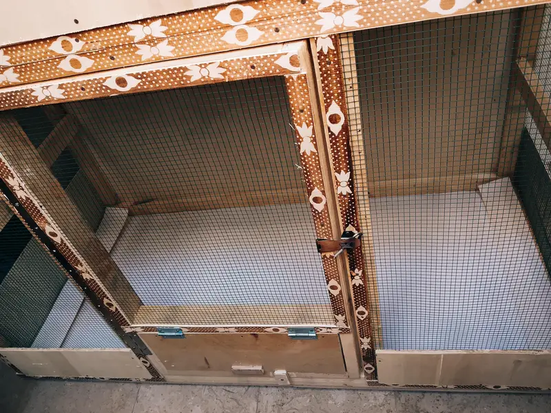 Hens & Birds wood cage — photo 4