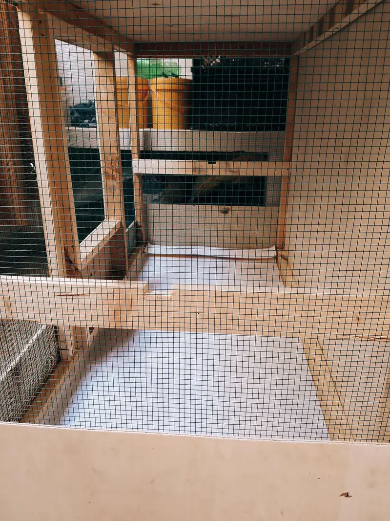 Hens & Birds wood cage — photo 5