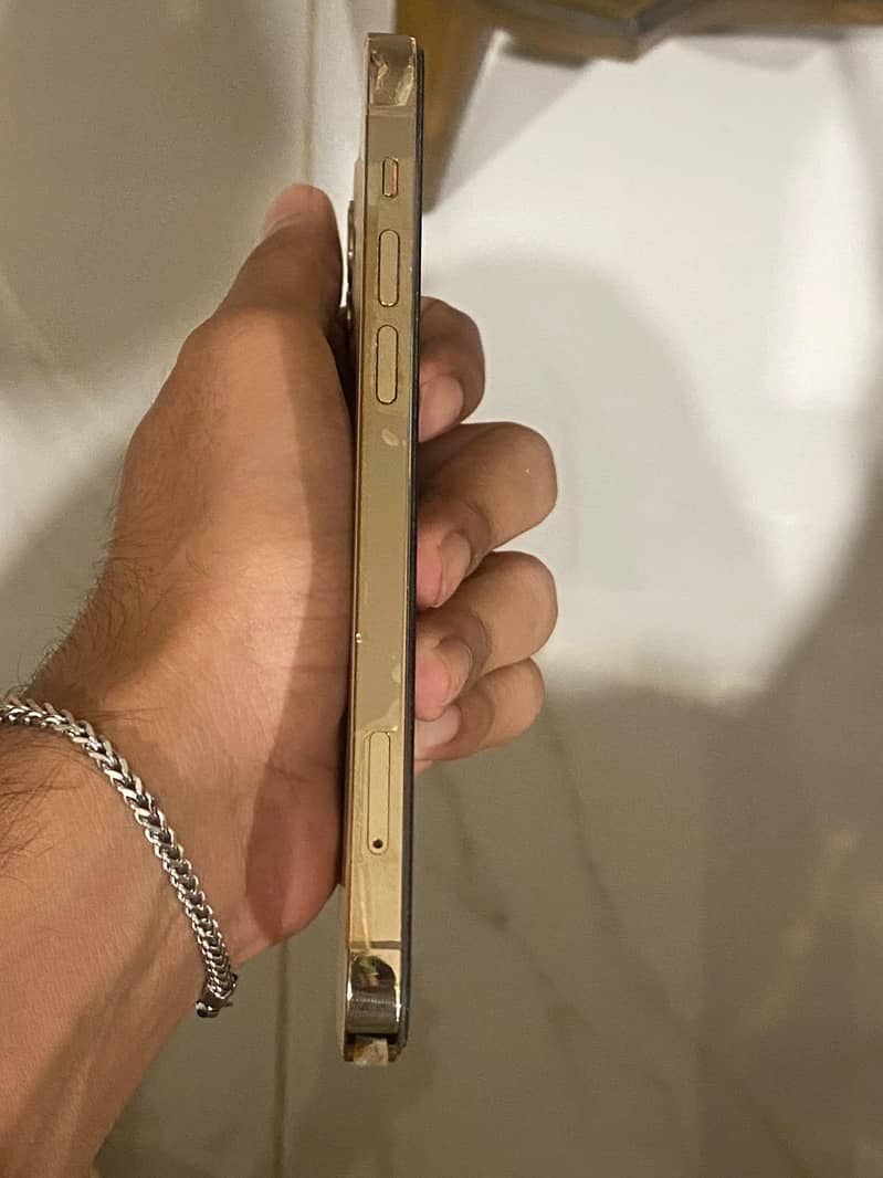 Apple iPhone 12 Pro 1