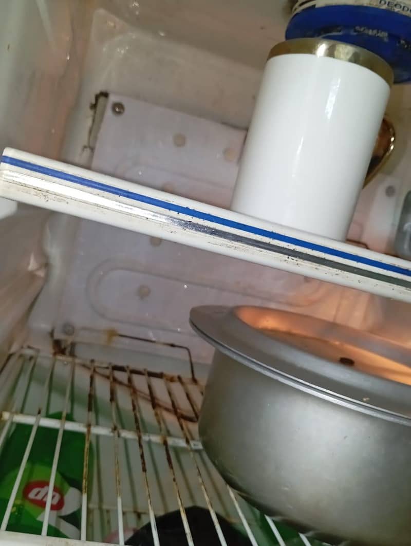 Fridge 2