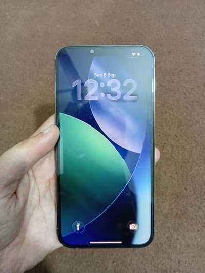 Apple iPhone 13 Pro Max