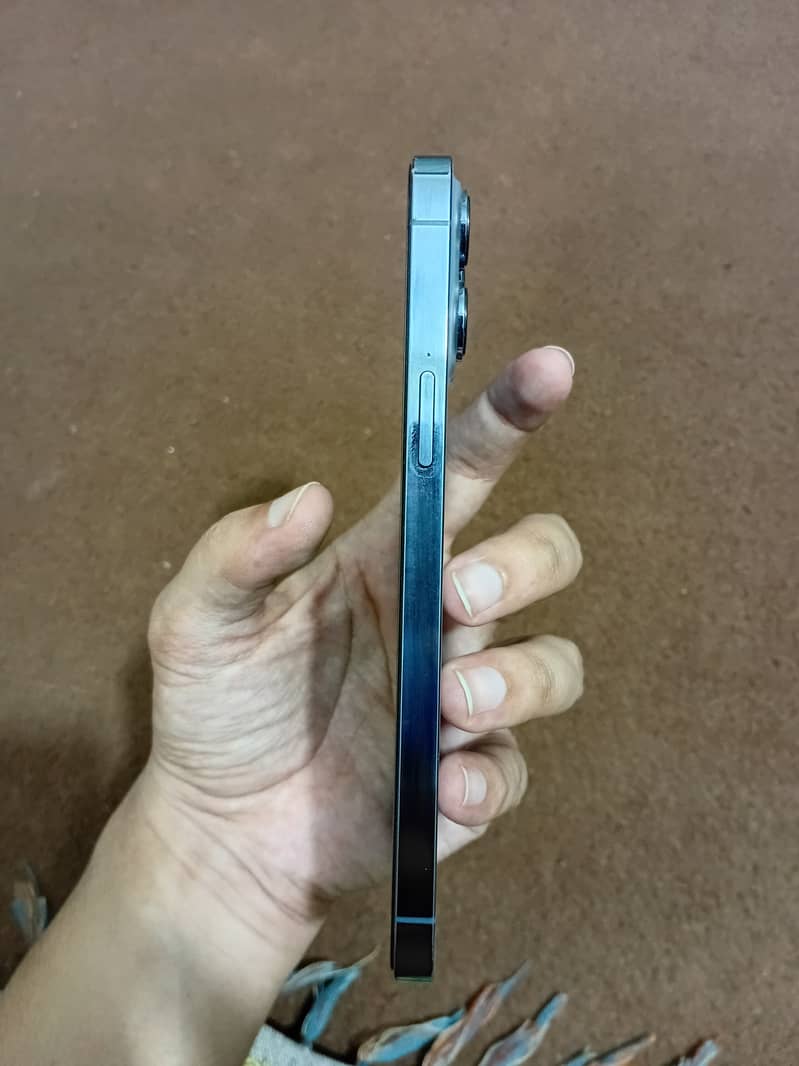 Apple iPhone 13 Pro Max 2