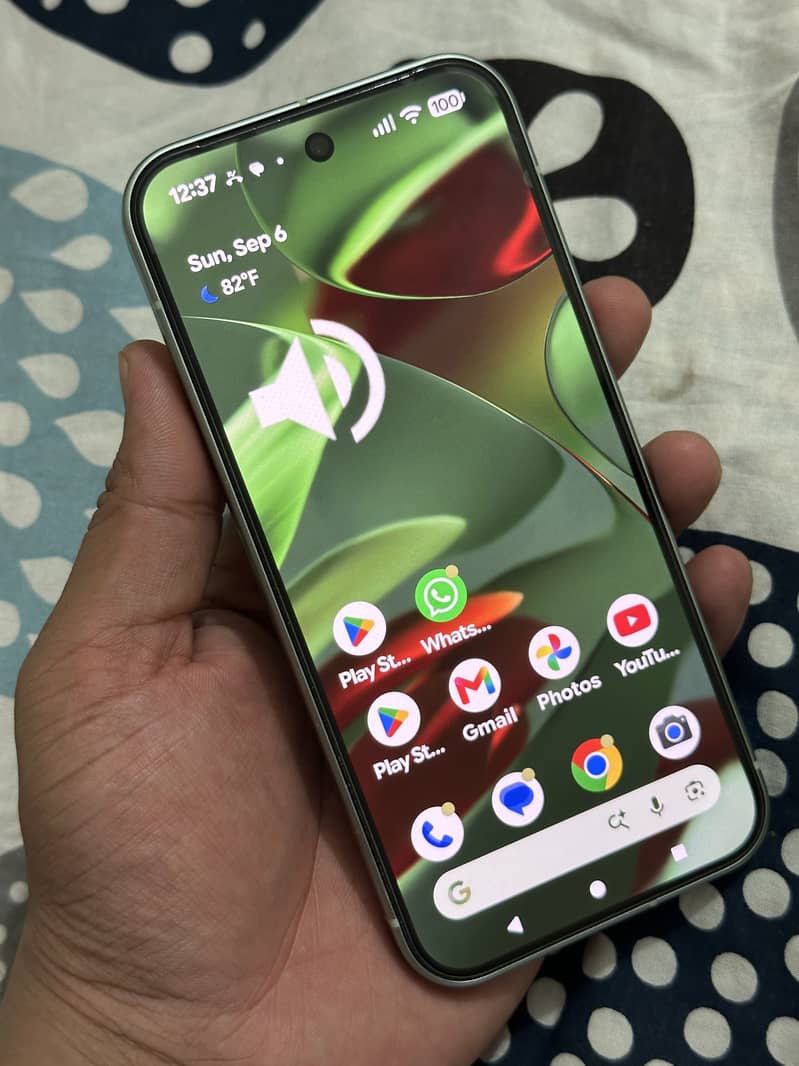 Google Pixel 9 12/128 1