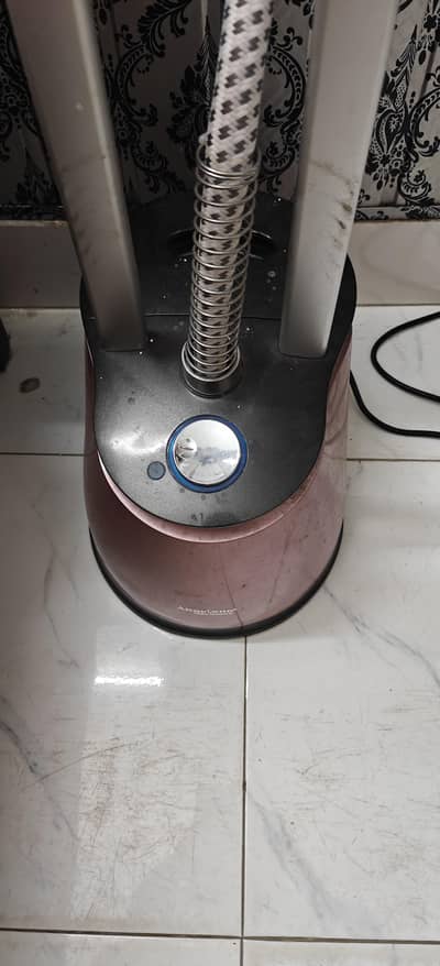 Angeleno Garment Steamer rarely used