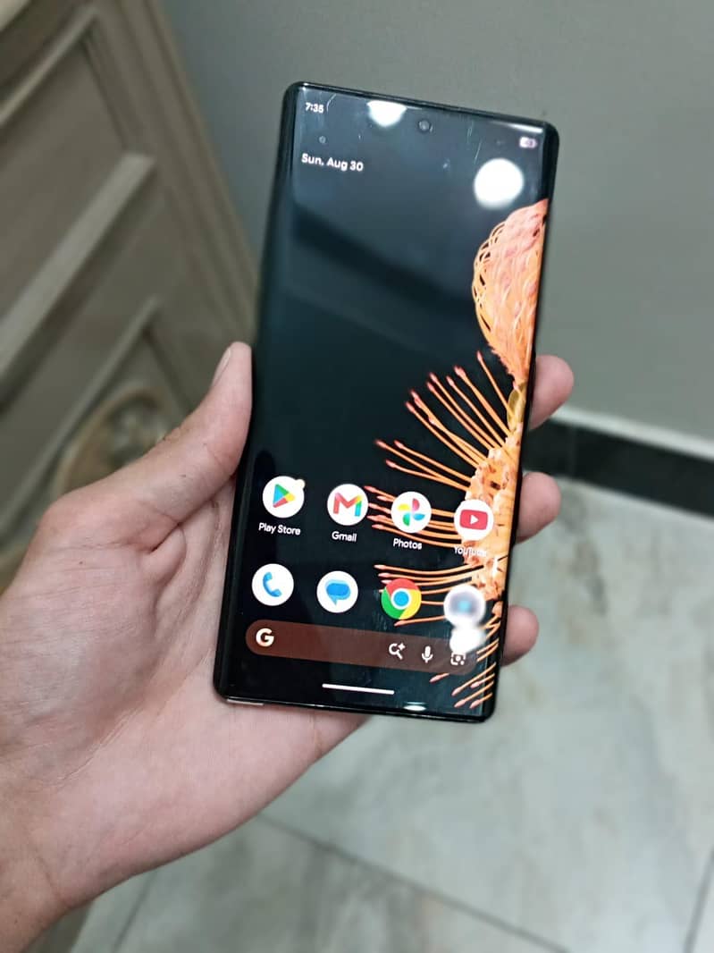 Google Pixel 6 Pro 3