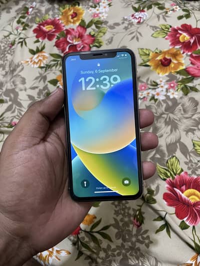 Apple iPhone X