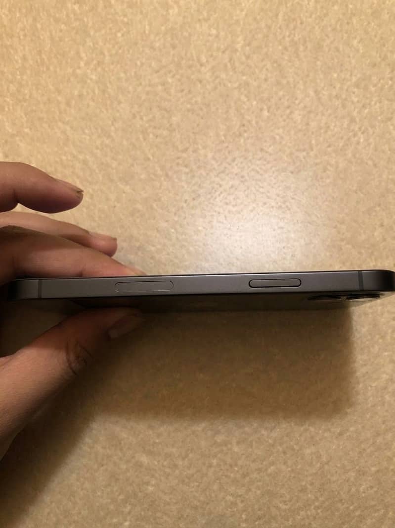 Apple iPhone 12 2