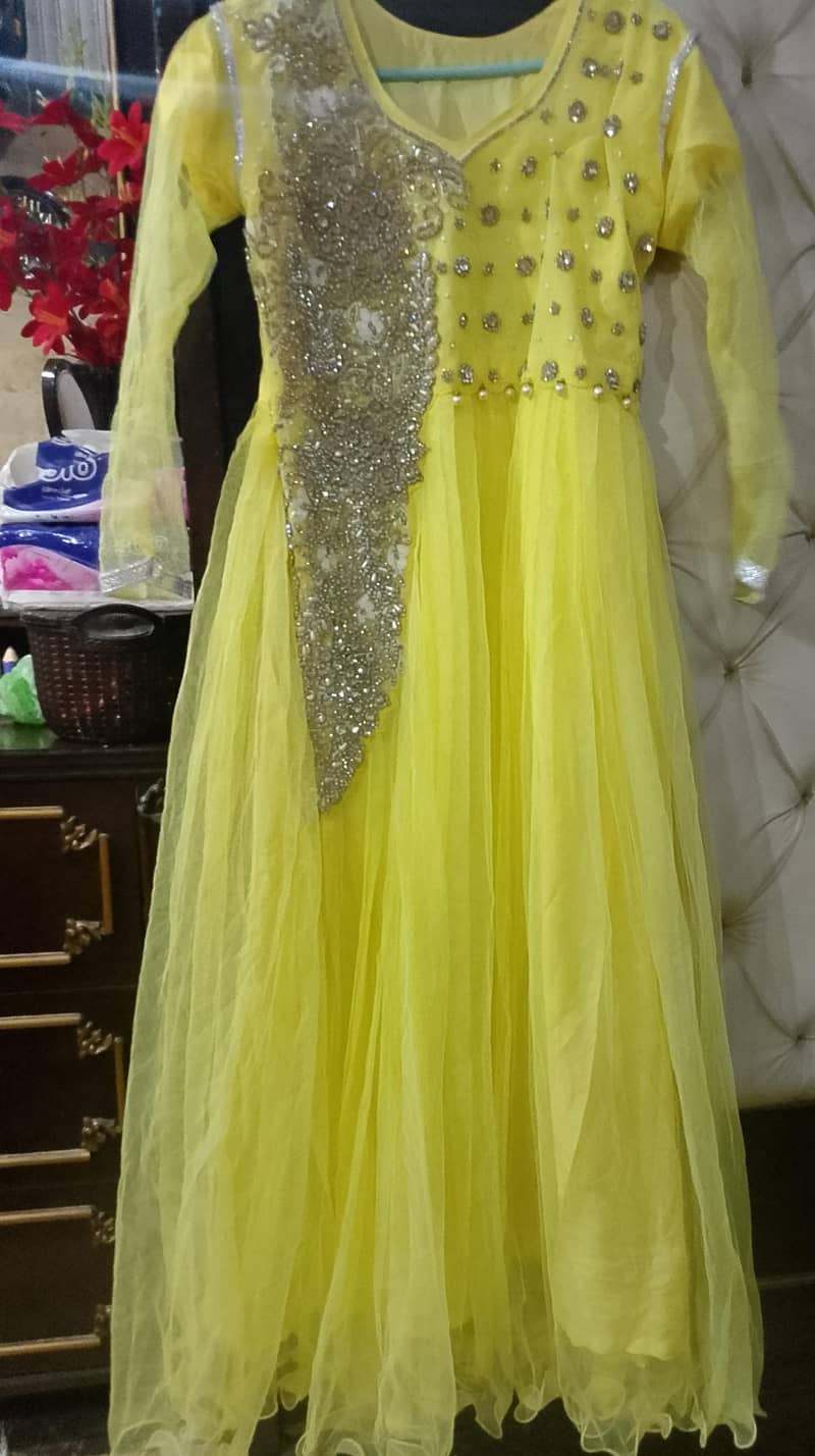 net maxi 2