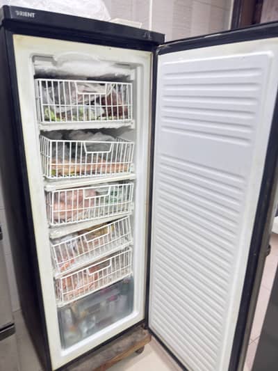 Orient Upright Freezer - Vertical
