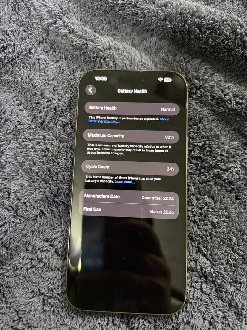 Apple iPhone 16 Pro Max 1