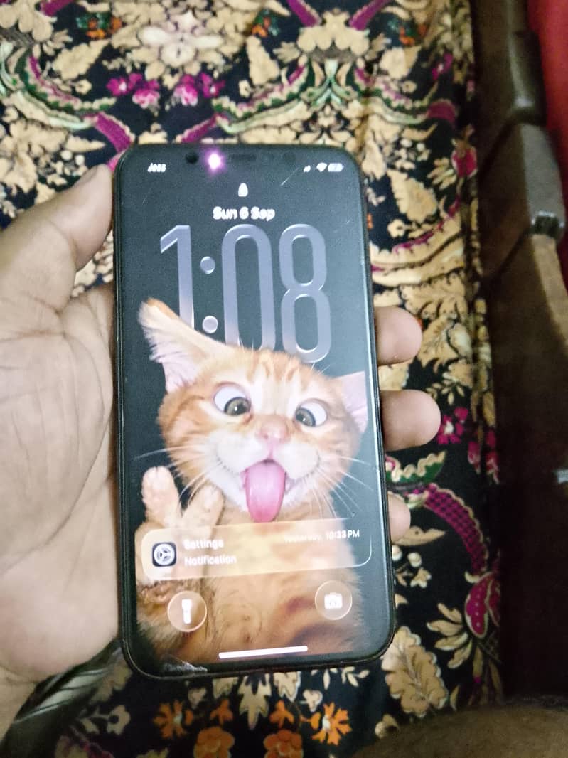 Apple iPhone 11 Pro 1