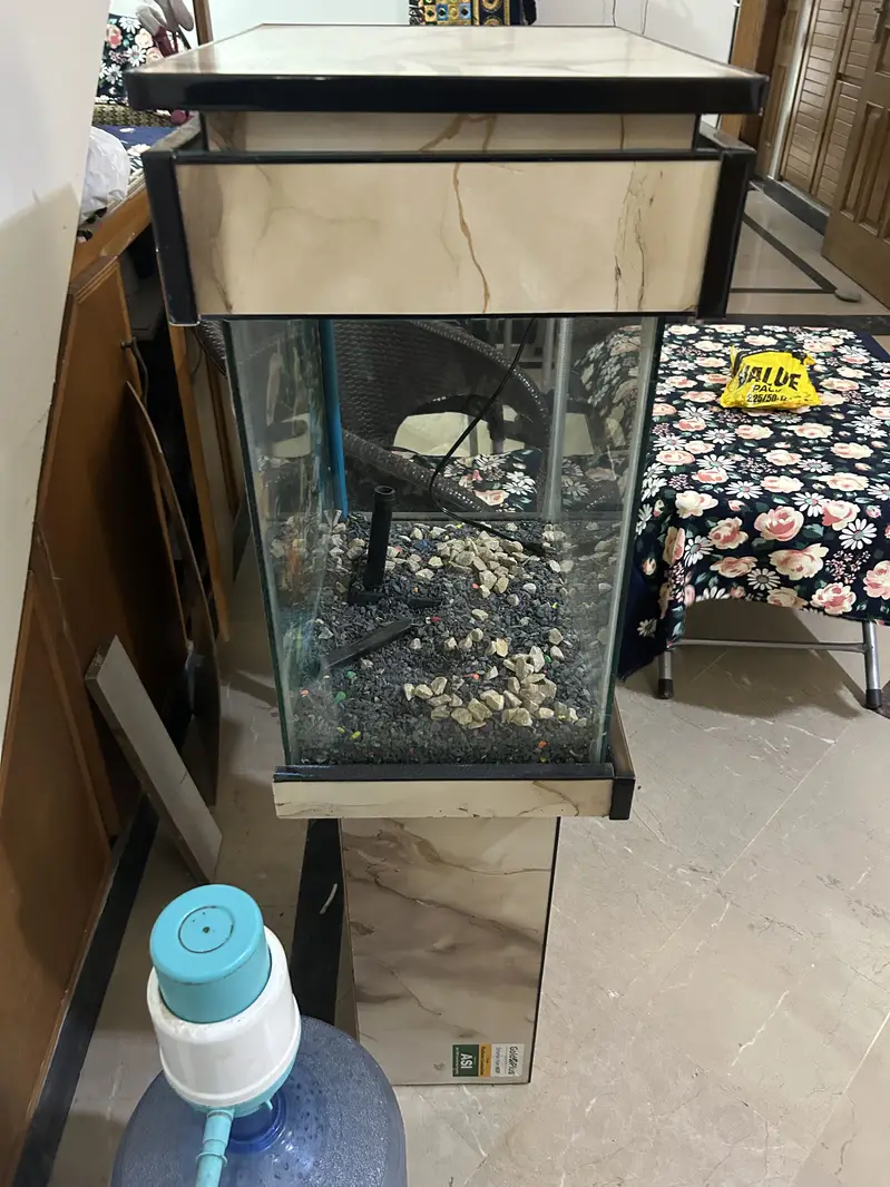 Fish Aquarium (Slightly Used)