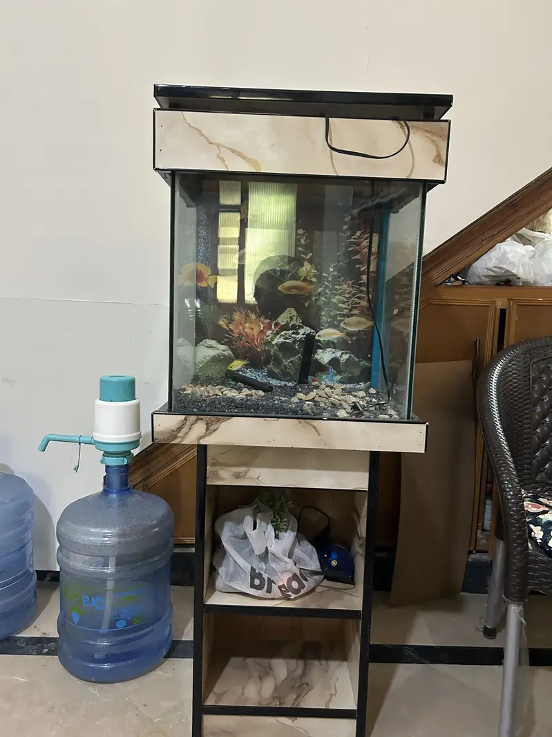 Fish Aquarium (Slightly Used) — photo 3