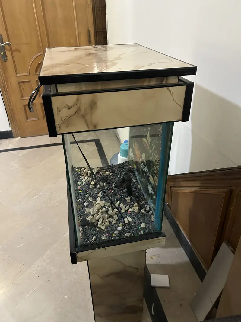 Fish Aquarium (Slightly Used) — photo 4