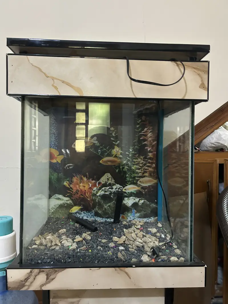 Fish Aquarium (Slightly Used) — photo 5