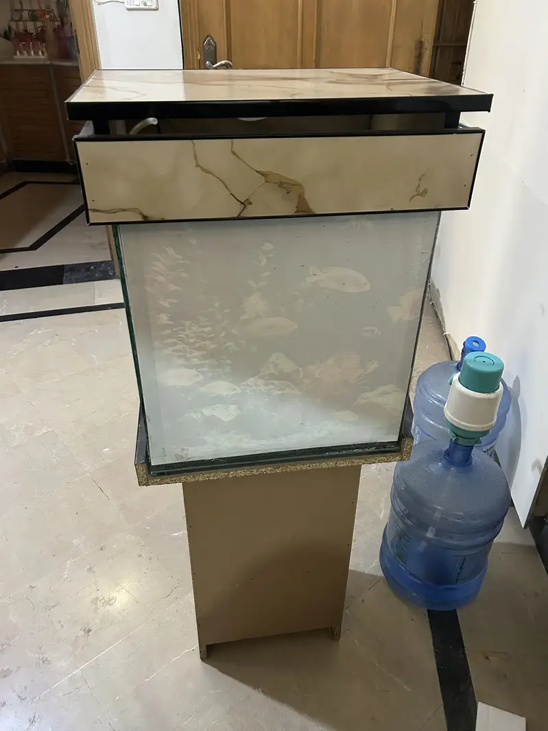 Fish Aquarium (Slightly Used) — photo 6