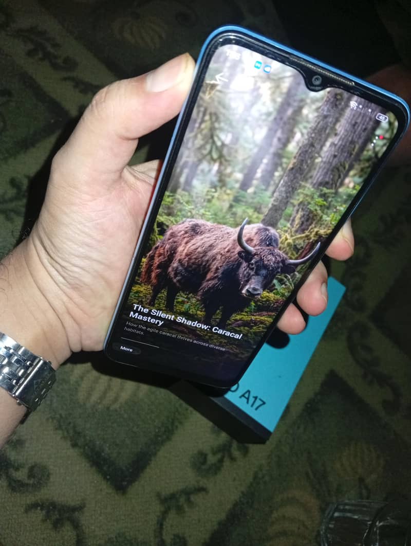 OPPO A17 7