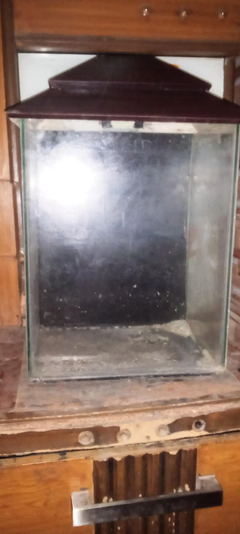 fish aquarium — photo 2