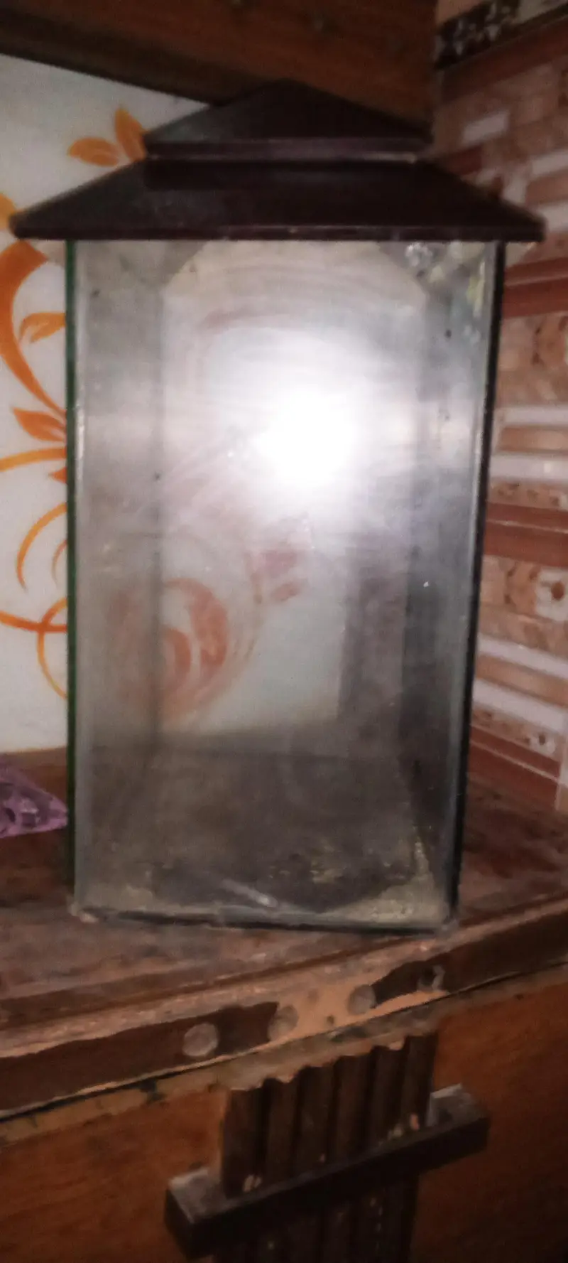 fish aquarium — photo 3