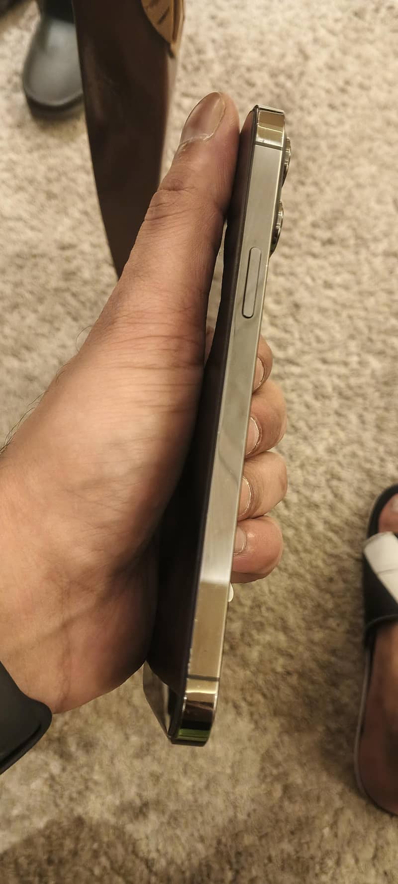 Apple iPhone 13 Pro Max 1