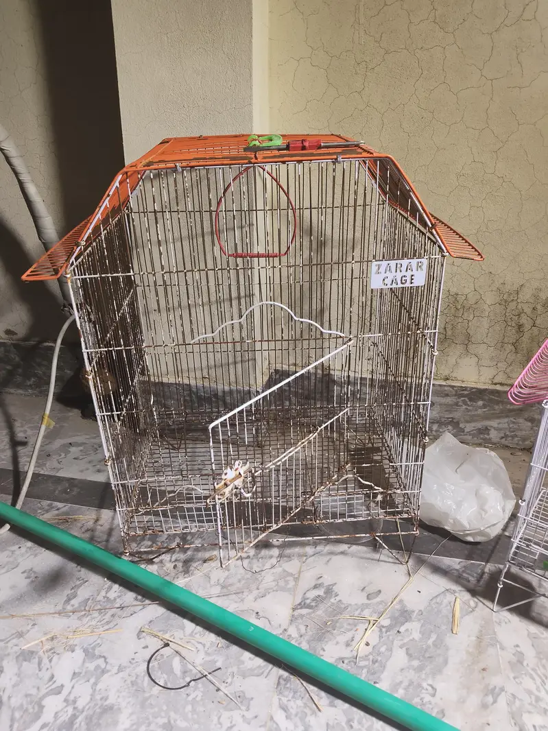 cages for sale