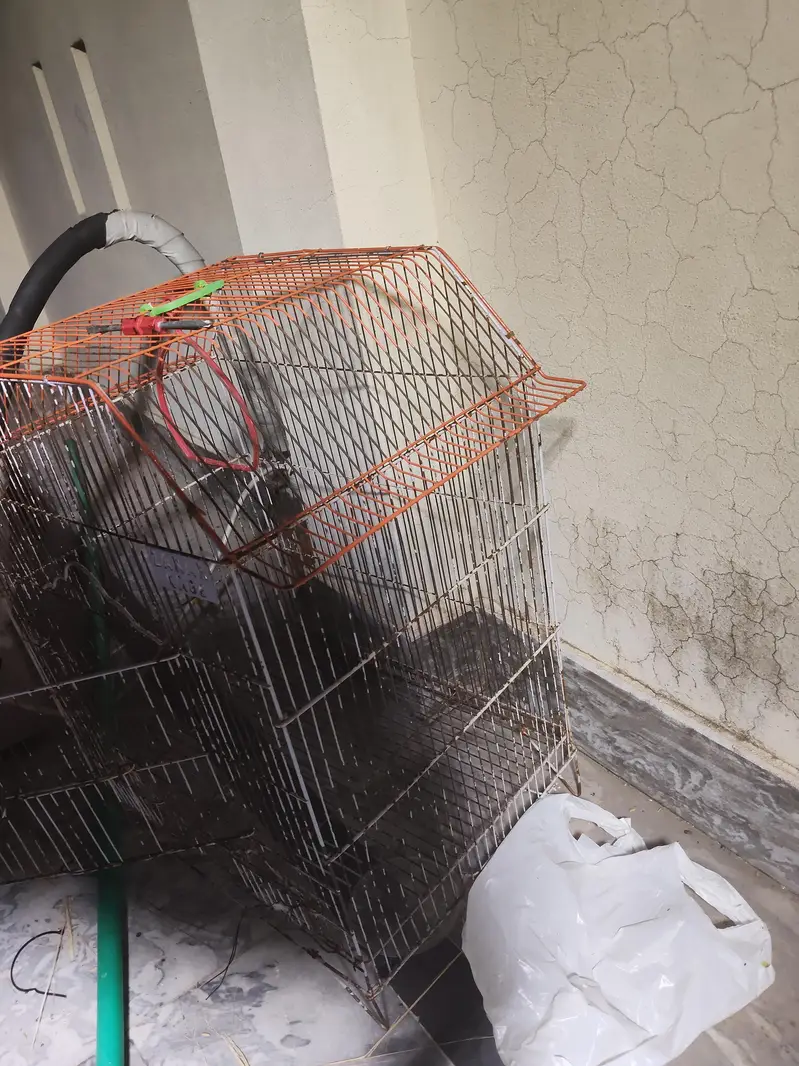 cages for sale — photo 3