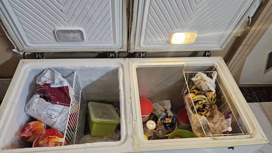 double door waves deep freezer