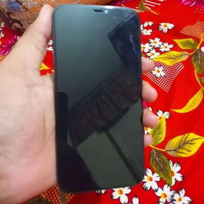 Apple iPhone 12 Pro Max