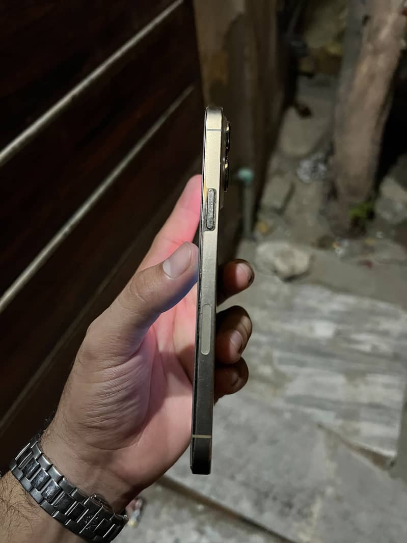 Apple iPhone 13 Pro Max 2
