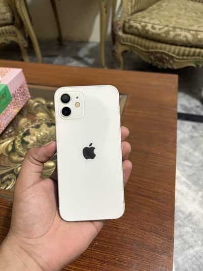 Apple iPhone 12 (jv)