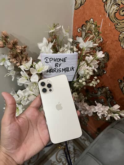 iPhone 12 Pro 256Gb