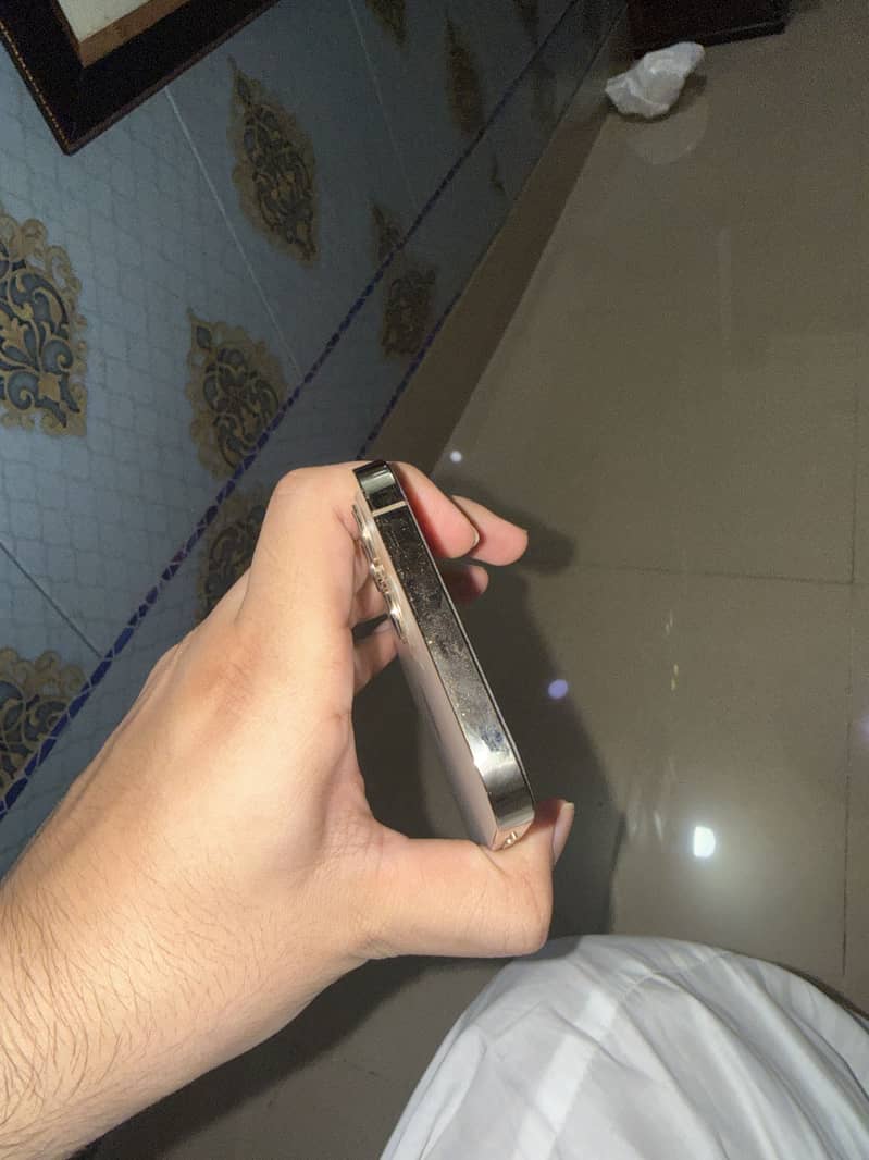 Apple iPhone 12 Pro Max 2