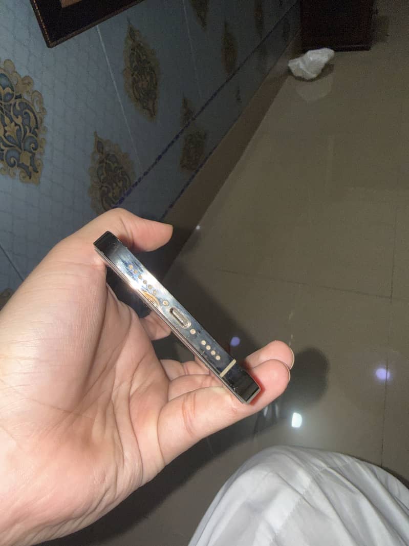Apple iPhone 12 Pro Max 5