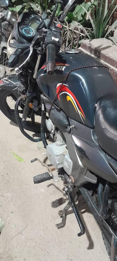 sp 110 Cheetha