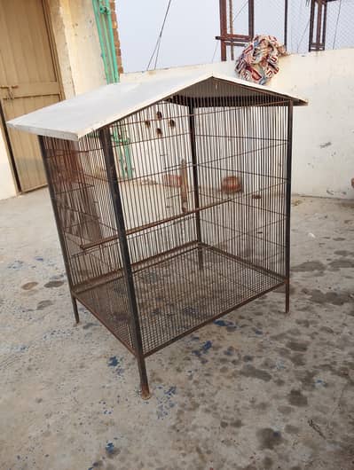 cage for urgent sale 03109202516
