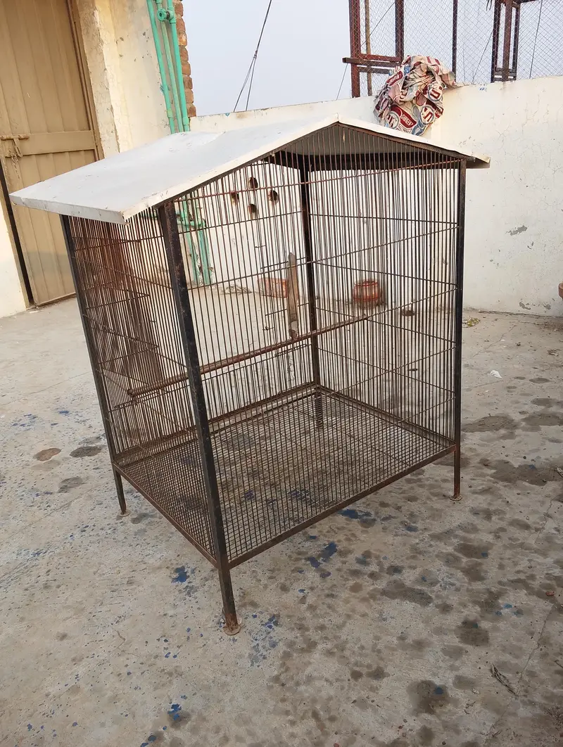 cage for urgent sale 03109202516 — photo 2