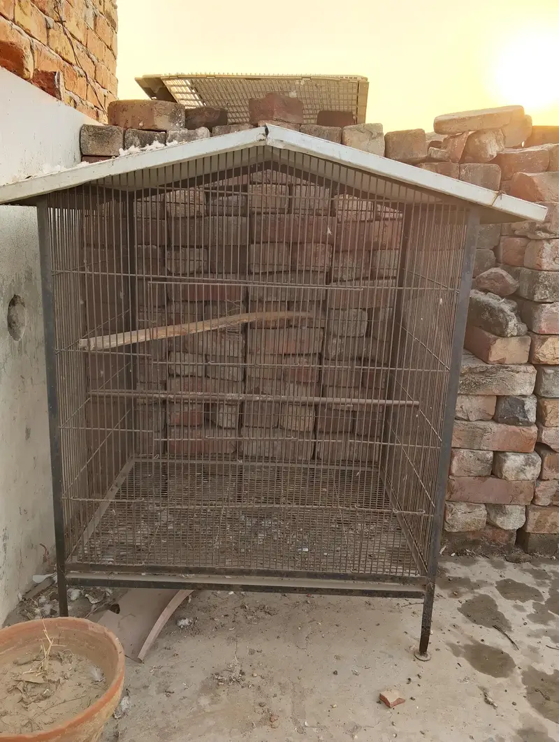 cage for urgent sale 03109202516 — photo 3