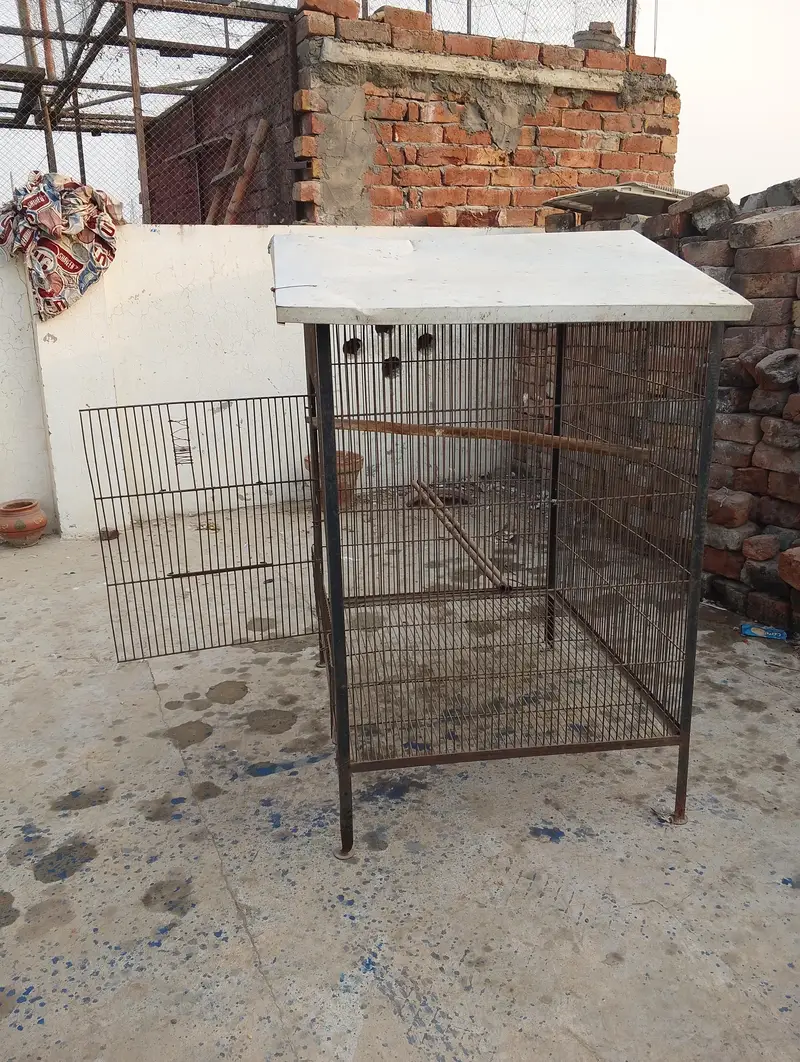 cage for urgent sale 03109202516 — photo 4
