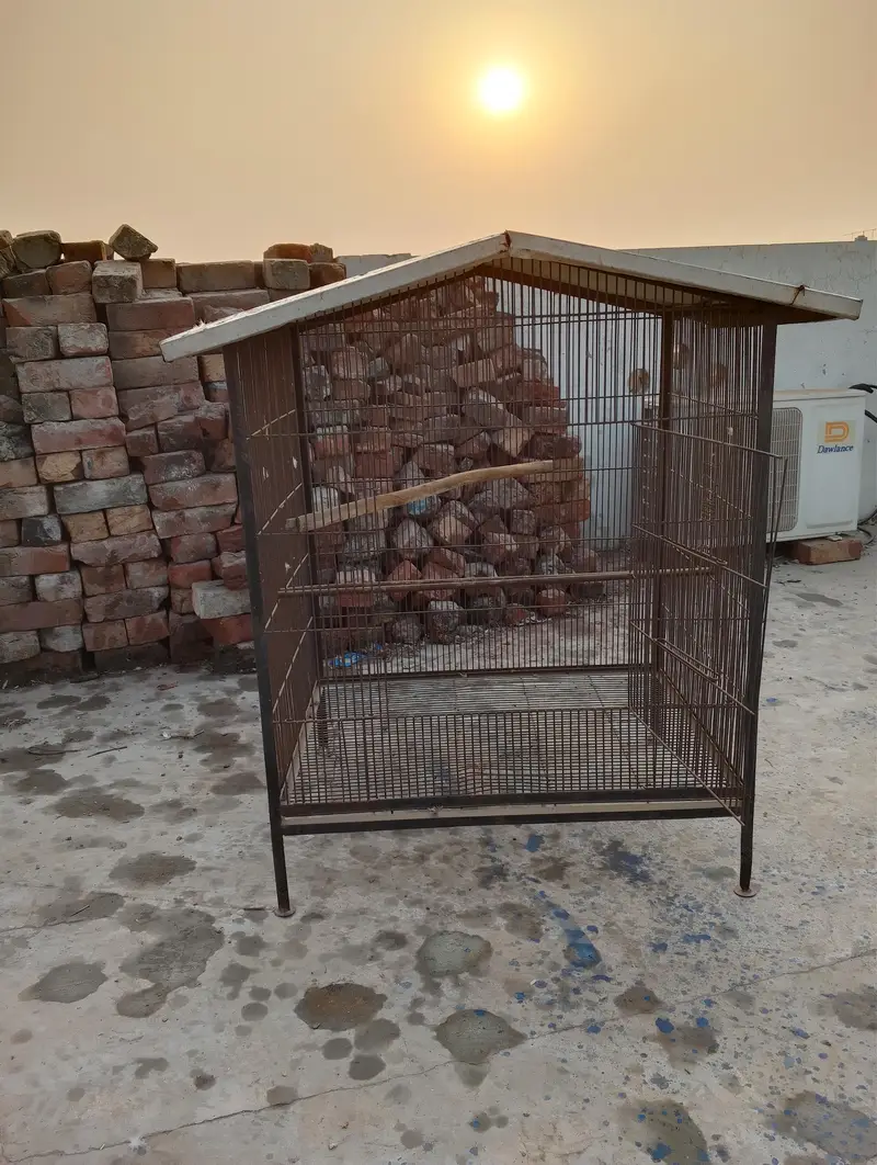 cage for urgent sale 03109202516 — photo 5