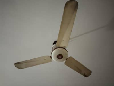 Fan genuine