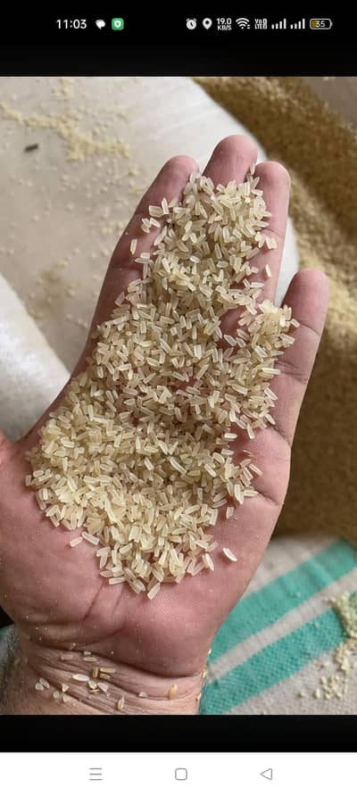 Daggi tutta chawal RS 100 ONLY OLD PURANA TUTTA CHAWAL LAHORE SHERAKOT