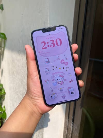 Apple iPhone 13 jv