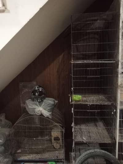 Parrot Cage