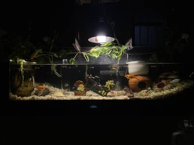AQUARIUM