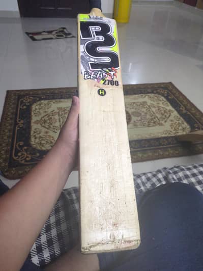 bs beast 2700k Kashmir willow