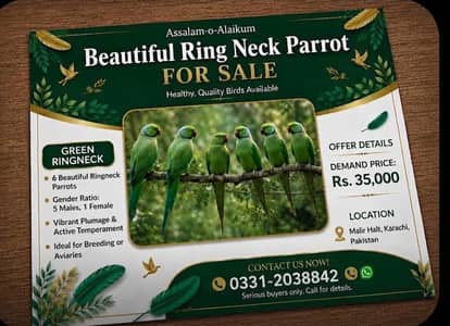 Ringneck